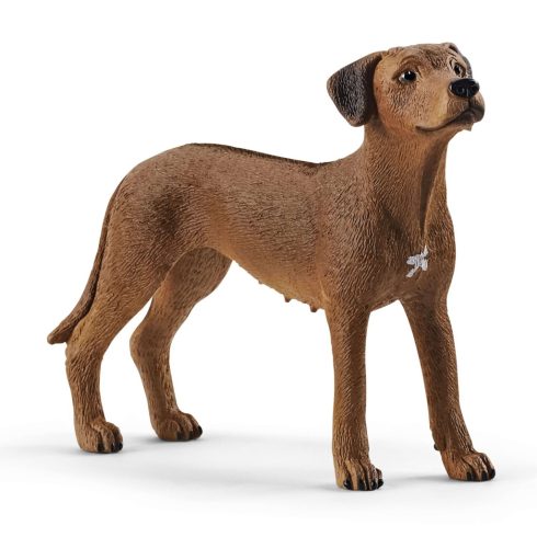 Schleich: Afrikai oroszlánkutya figura