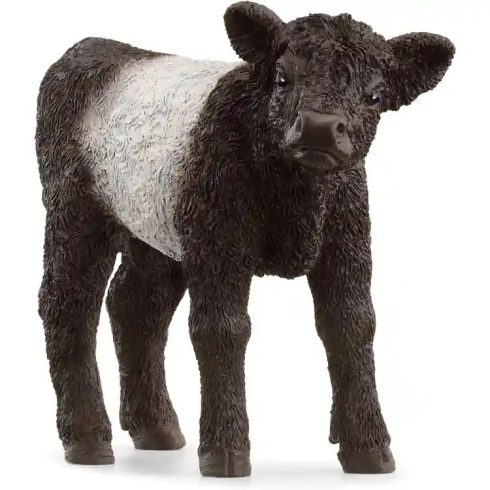 Schleich Farm World Galloway szarvasmarha borjú