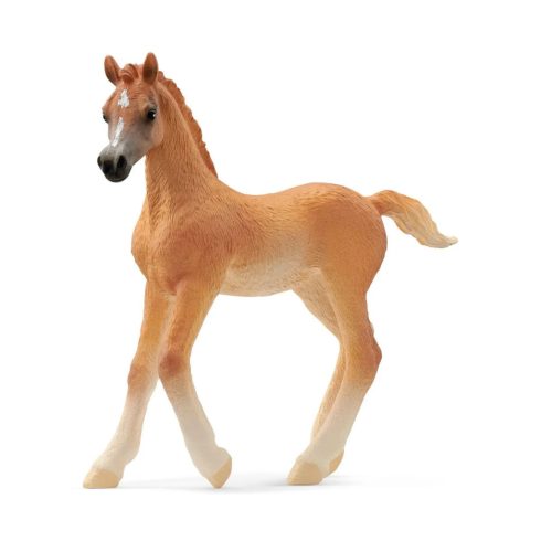 Schleich Horse Club: Kis arab csikó figura