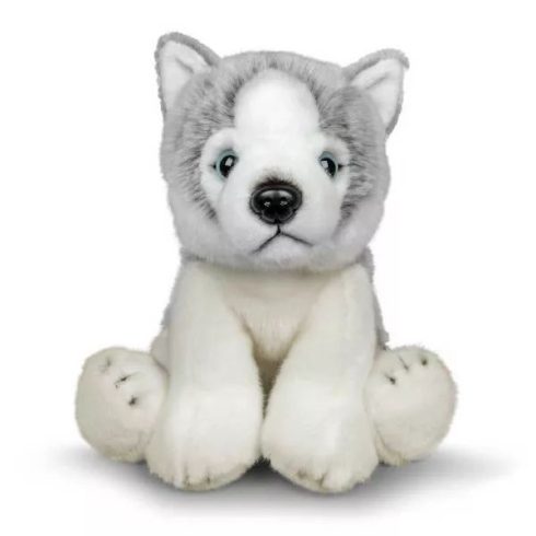 Animigos World of Nature: Husky plüss - 25 cm