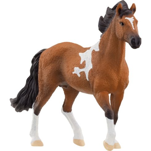 Schleich Horse Club Mangalarga Marchador mén figura