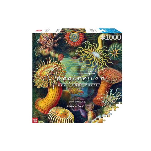 Good Loot Ernst Haeckel Tengeri lények 1000 darabos puzzle