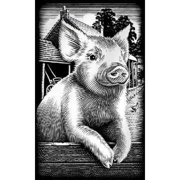 Reeves Ezüst képkarcoló (mini), Röfi