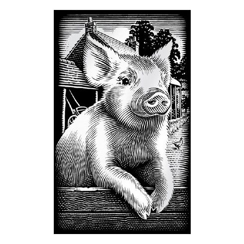 Reeves Ezüst képkarcoló (mini), Röfi