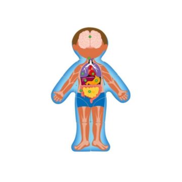 Woody - Emberi test puzzle (91922)