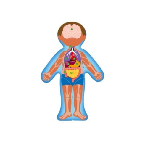 Woody - Emberi test puzzle (91922)